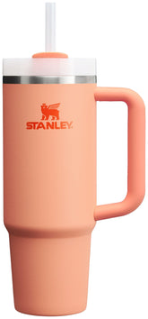 Stanley Quencher H2.0 Tumbler with Handle & Straw 30 oz | Twist On 3-Way Lid | Cupholder Compatible for Travel | Insulated Stainless Steel Cup | BPA-Free | Nectarine